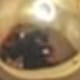 Kit Colar com Brinco Boll