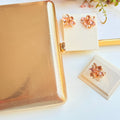 Kit Clutch, Anel Regulável com Brinco de Pedraria Nude Selivon