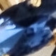 KIT ANEL E BRINCO TREVOR SAFIRA Cor:AZUL SAFIRA