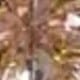 KIT ANEL COM BRINCO NORONHA NUDE Cor:NUDE
