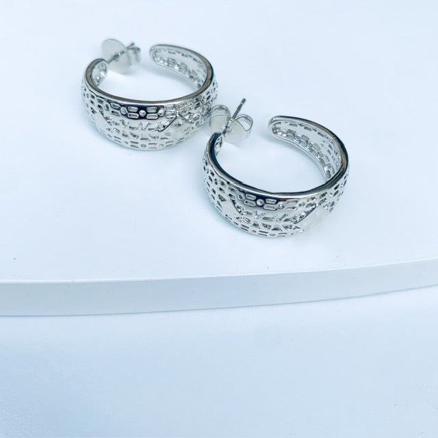 Argola Luxo Zilly Prata