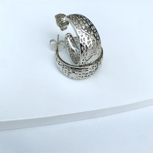 Argola Luxo Zilly Prata